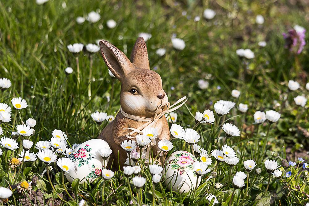 Foto: PIXELIO - angieconscious